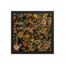 Load image into Gallery viewer, Michigan Fall Colors - Framed