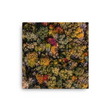 Load image into Gallery viewer, Michigan Fall Colors - Canvas