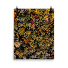 Load image into Gallery viewer, Michigan Fall Colors - Print