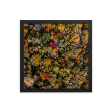 Load image into Gallery viewer, Michigan Fall Colors - Framed