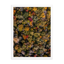 Load image into Gallery viewer, Michigan Fall Colors - Framed