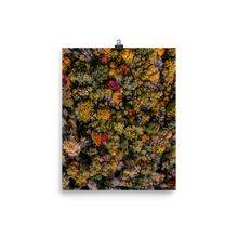 Load image into Gallery viewer, Michigan Fall Colors - Print