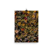 Load image into Gallery viewer, Michigan Fall Colors - Print