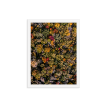 Load image into Gallery viewer, Michigan Fall Colors - Framed