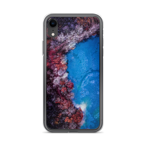Fall Leaves Winter Ice - iPhone Case