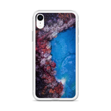 Load image into Gallery viewer, Fall Leaves Winter Ice - iPhone Case