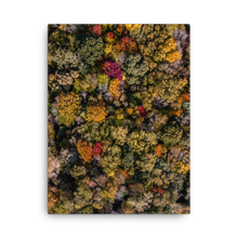 Load image into Gallery viewer, Michigan Fall Colors - Canvas