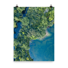 Load image into Gallery viewer, Michigan Summer Treetops - Print