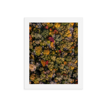 Load image into Gallery viewer, Michigan Fall Colors - Framed