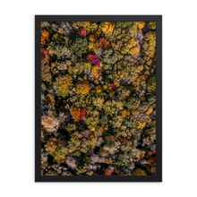 Load image into Gallery viewer, Michigan Fall Colors - Framed