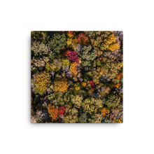 Load image into Gallery viewer, Michigan Fall Colors - Canvas