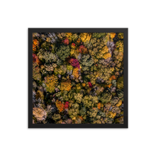 Load image into Gallery viewer, Michigan Fall Colors - Framed