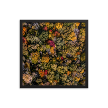 Load image into Gallery viewer, Michigan Fall Colors - Framed