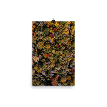 Load image into Gallery viewer, Michigan Fall Colors - Print