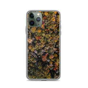 Michigan Fall Colors - iPhone Case