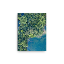 Load image into Gallery viewer, Michigan Summer Treetops - Canvas