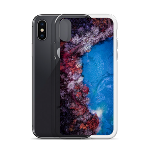 Fall Leaves Winter Ice - iPhone Case