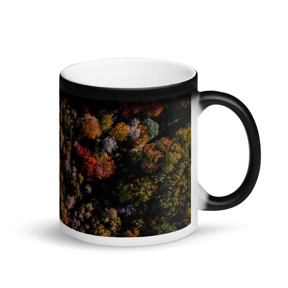 Michigan Fall Colors - Matte Black Magic Mug