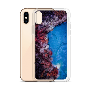 Fall Leaves Winter Ice - iPhone Case