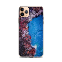 Load image into Gallery viewer, Fall Leaves Winter Ice - iPhone Case