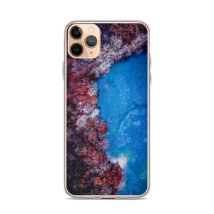 Fall Leaves Winter Ice - iPhone Case