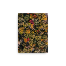 Load image into Gallery viewer, Michigan Fall Colors - Canvas