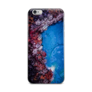 Fall Leaves Winter Ice - iPhone Case