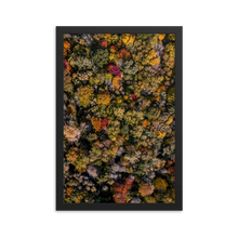 Load image into Gallery viewer, Michigan Fall Colors - Framed