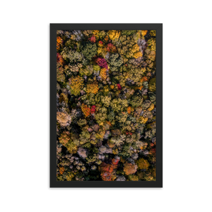 Michigan Fall Colors - Framed