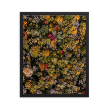 Load image into Gallery viewer, Michigan Fall Colors - Framed