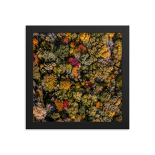 Load image into Gallery viewer, Michigan Fall Colors - Framed