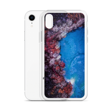 Load image into Gallery viewer, Fall Leaves Winter Ice - iPhone Case