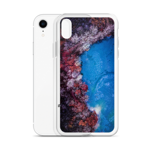 Fall Leaves Winter Ice - iPhone Case