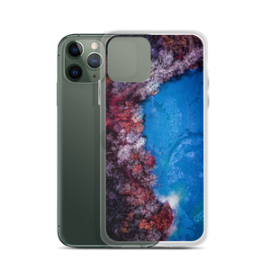 Fall Leaves Winter Ice - iPhone Case