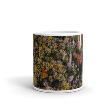 Load image into Gallery viewer, Michigan Fall Colors - Mug