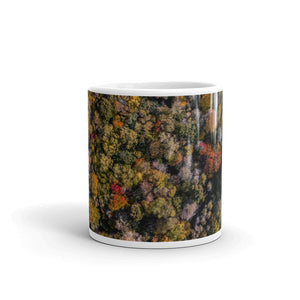 Michigan Fall Colors - Mug