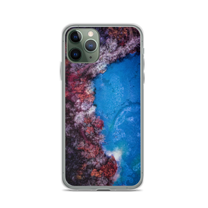 Fall Leaves Winter Ice - iPhone Case