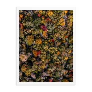 Michigan Fall Colors - Framed
