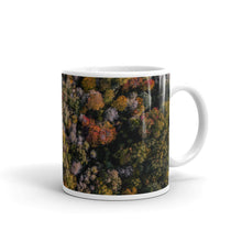Load image into Gallery viewer, Michigan Fall Colors - Mug