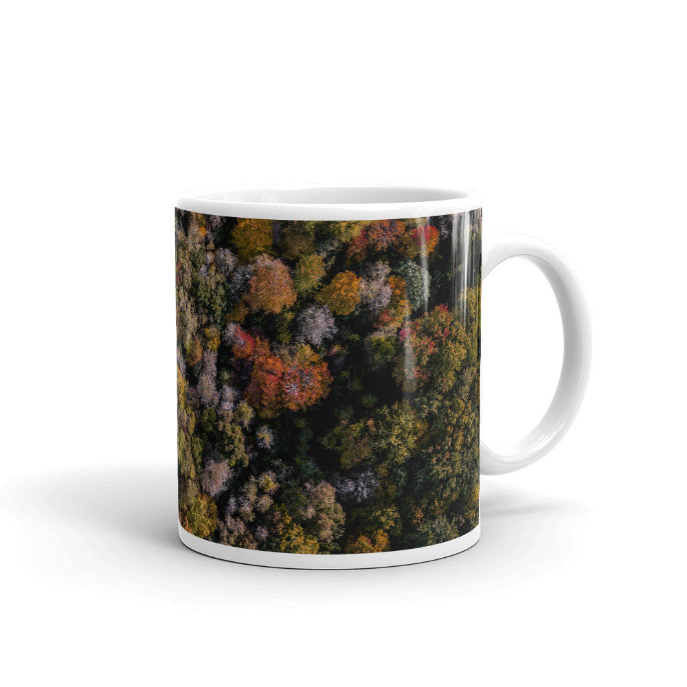 Michigan Fall Colors - Mug