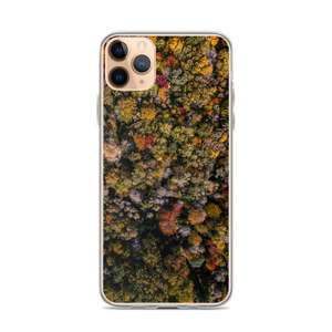 Michigan Fall Colors - iPhone Case