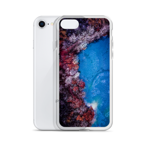Fall Leaves Winter Ice - iPhone Case