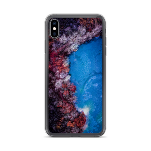 Fall Leaves Winter Ice - iPhone Case