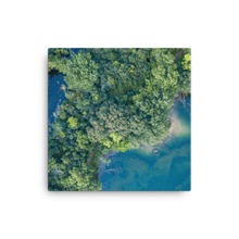 Load image into Gallery viewer, Michigan Summer Treetops - Canvas