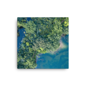 Michigan Summer Treetops - Canvas