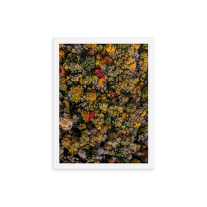 Michigan Fall Colors - Framed