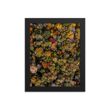 Load image into Gallery viewer, Michigan Fall Colors - Framed