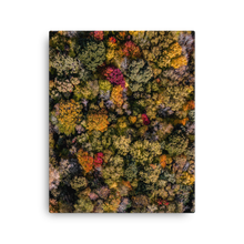 Load image into Gallery viewer, Michigan Fall Colors - Canvas