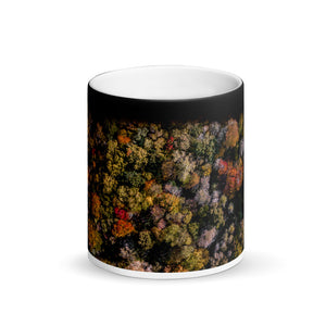 Michigan Fall Colors - Matte Black Magic Mug