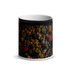Michigan Fall Colors - Glossy Magic Mug